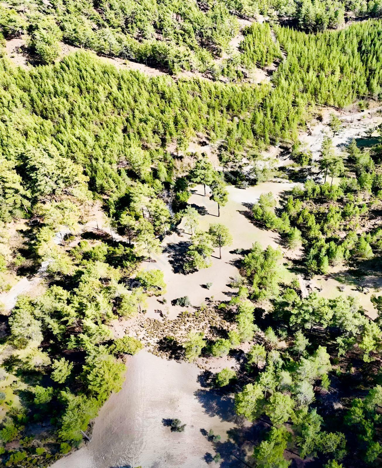Finike Ernezde Dere Kenarı 7.900 M² Yatırımlık Satılık Tarla - Görsel 17