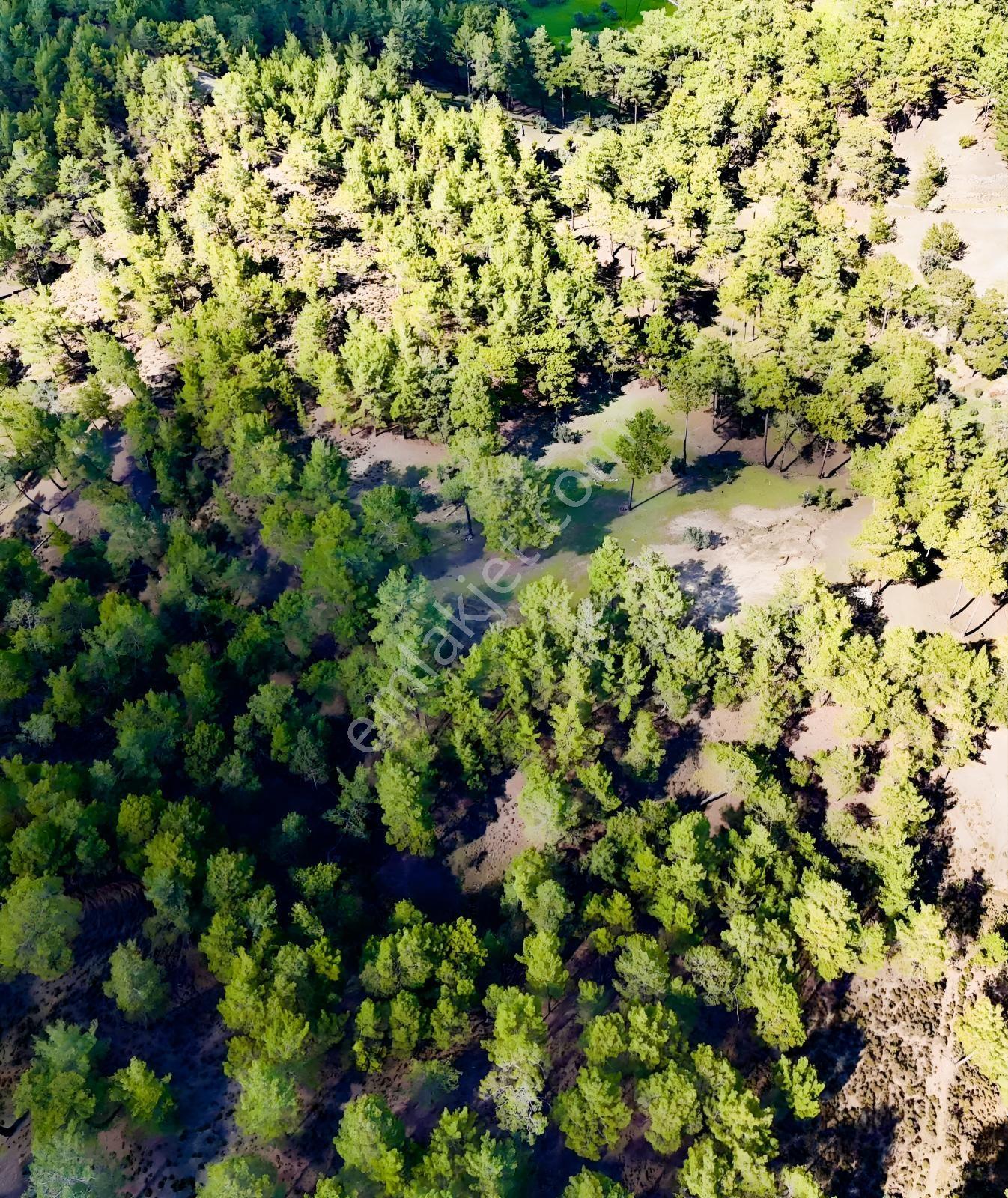 Finike Ernezde Dere Kenarı 7.900 M² Yatırımlık Satılık Tarla - Görsel 18