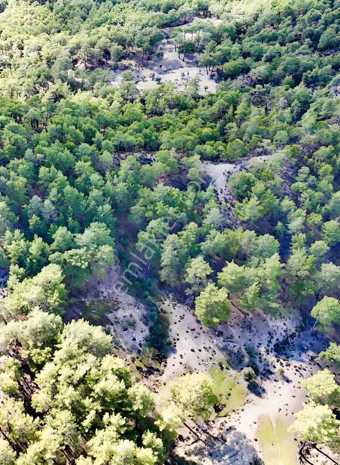 Finike Ernezde Dere Kenarı 7.900 M² Yatırımlık Satılık Tarla - Görsel 19