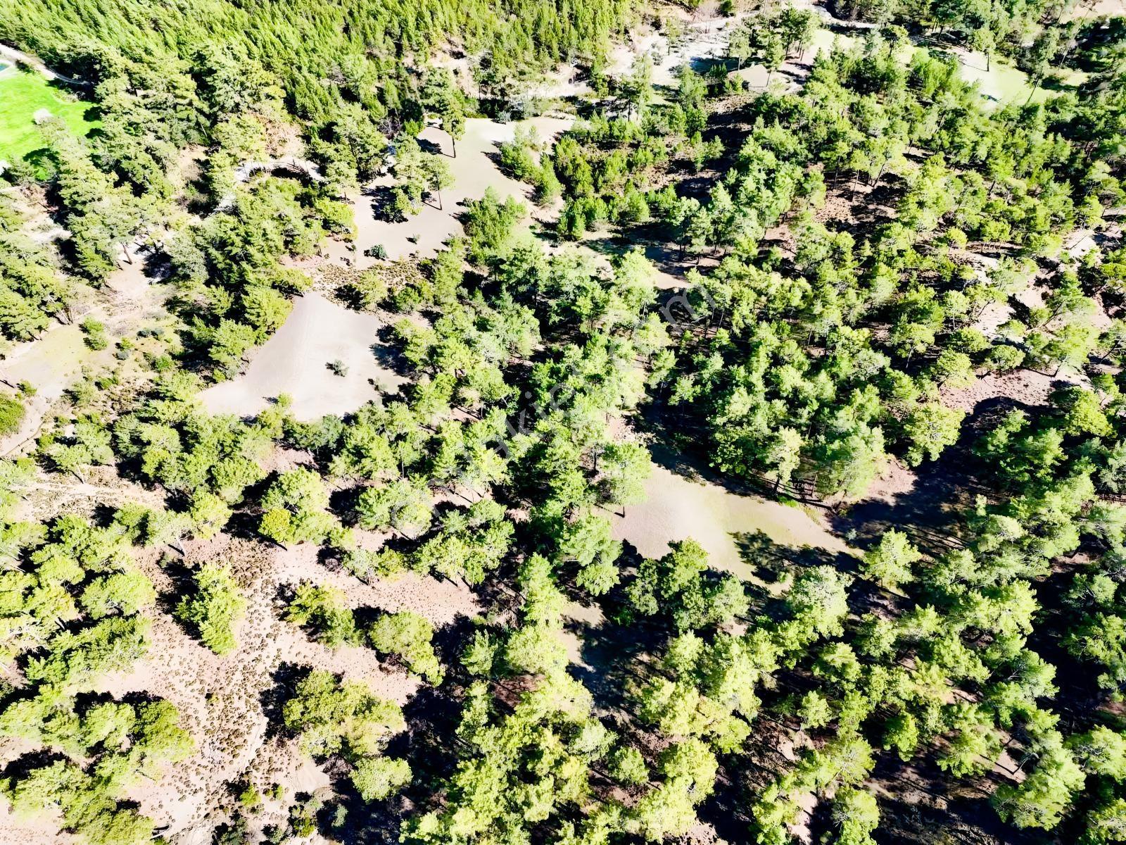 Finike Ernezde Dere Kenarı 7.900 M² Yatırımlık Satılık Tarla - Görsel 7