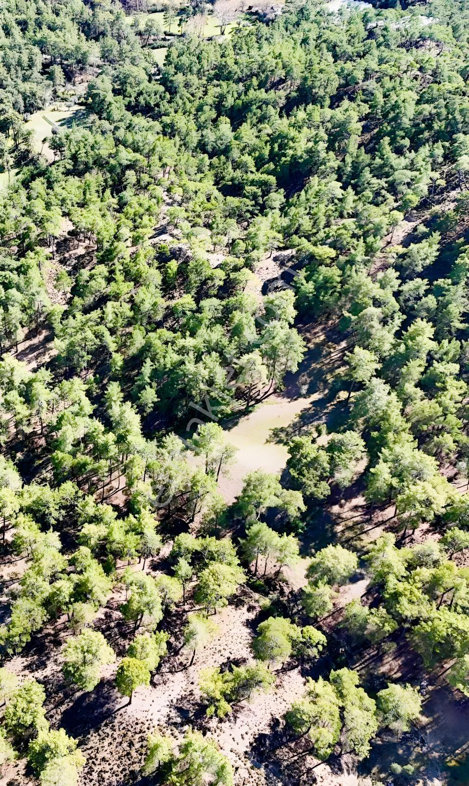 Finike Ernezde Dere Kenarı 7.900 M² Yatırımlık Satılık Tarla - Görsel 10
