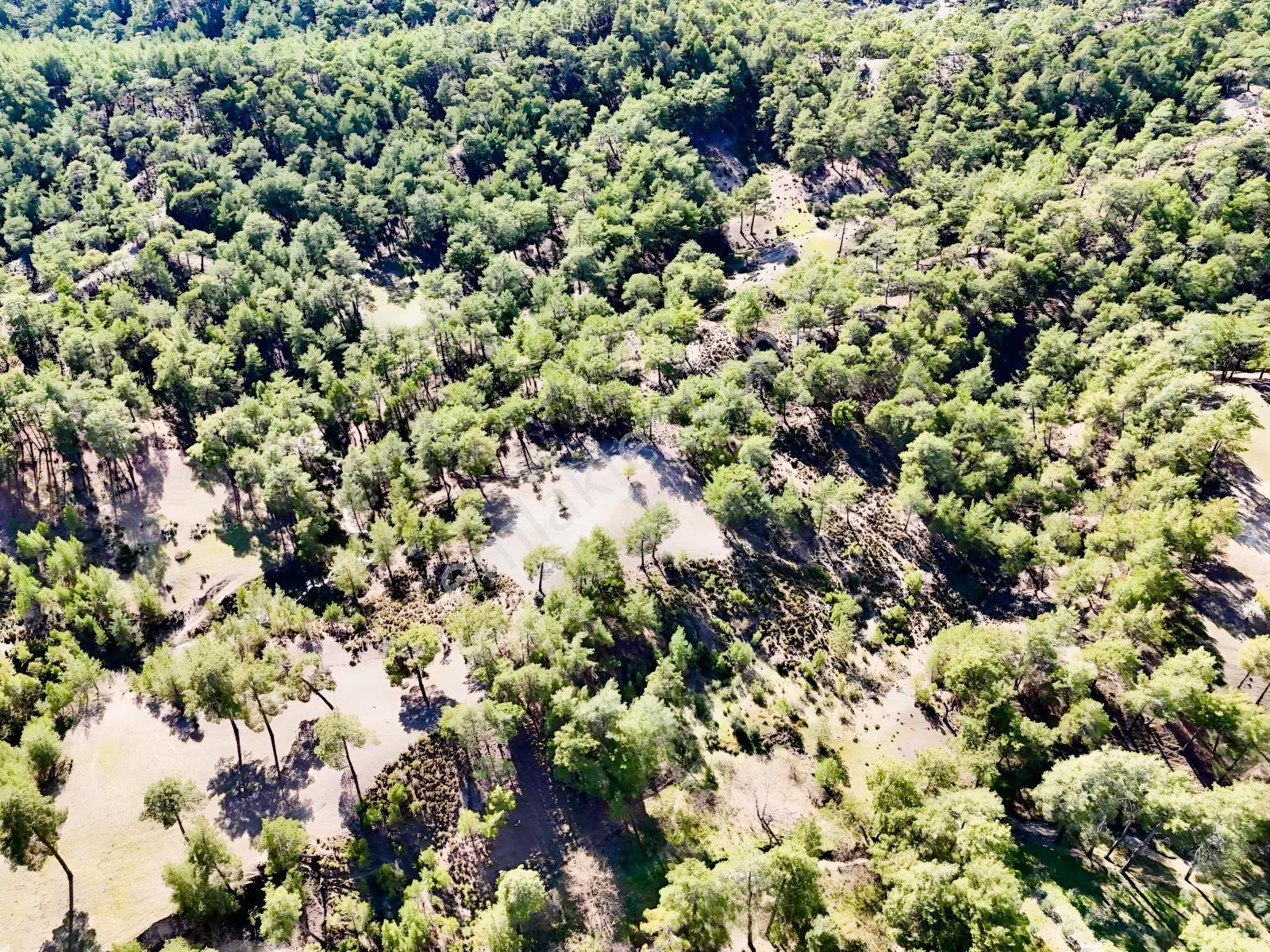 Finike Ernezde Dere Kenarı 7.900 M² Yatırımlık Satılık Tarla - Görsel 4