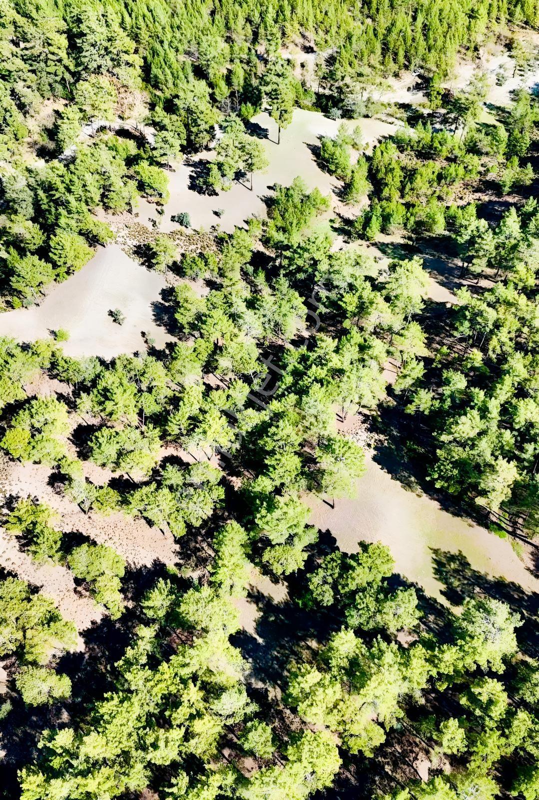 Finike Ernezde Dere Kenarı 7.900 M² Yatırımlık Satılık Tarla - Görsel 28