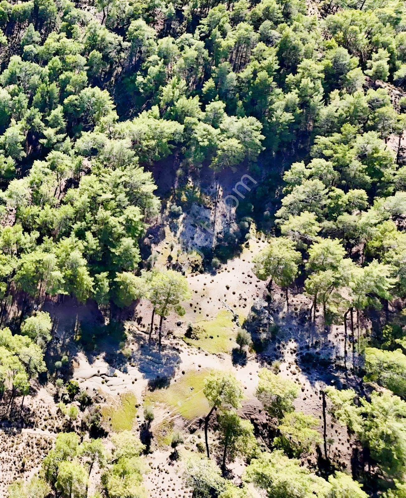 Finike Ernezde Dere Kenarı 7.900 M² Yatırımlık Satılık Tarla - Görsel 29