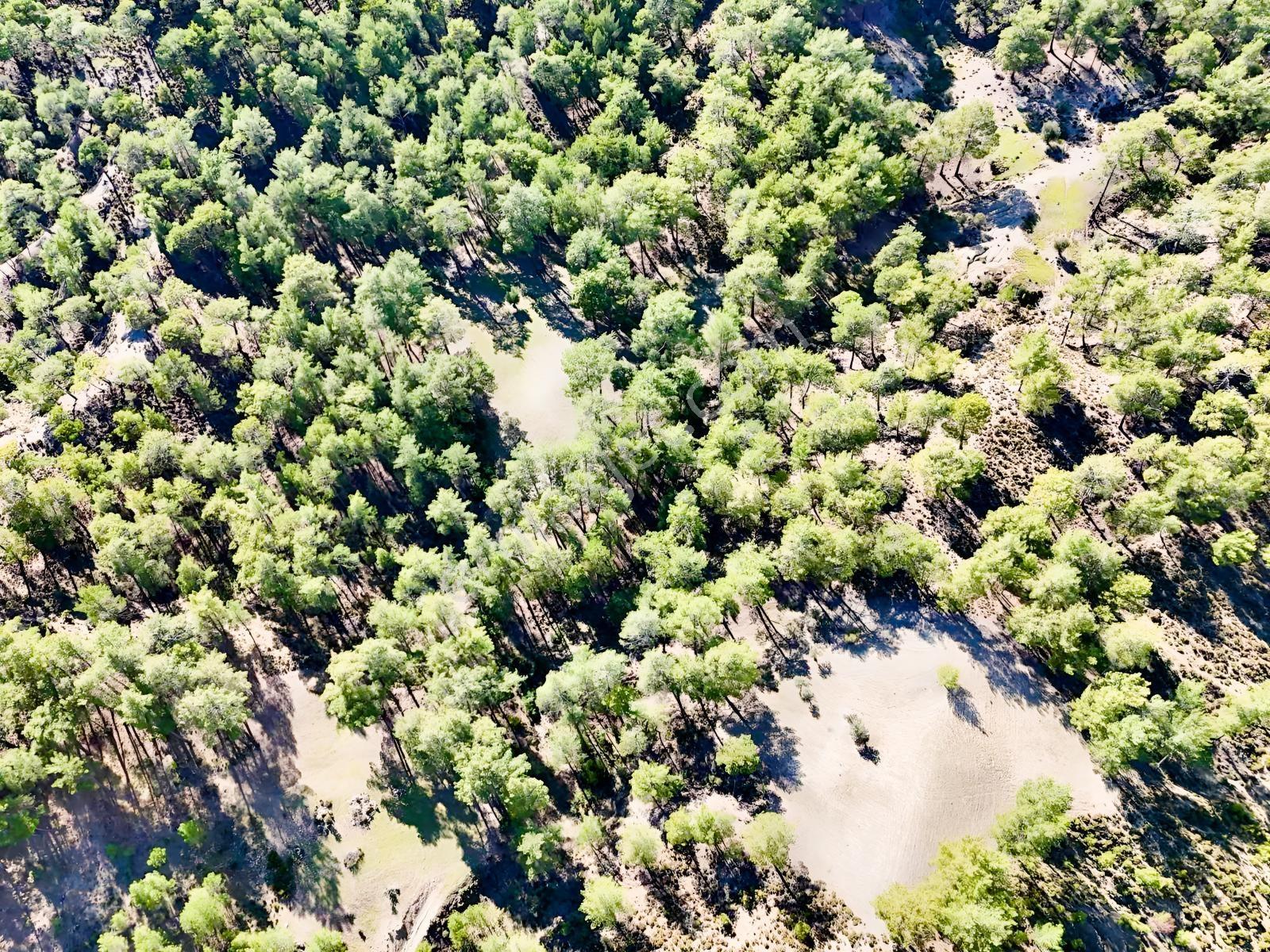 Finike Ernezde Dere Kenarı 7.900 M² Yatırımlık Satılık Tarla - Görsel 33