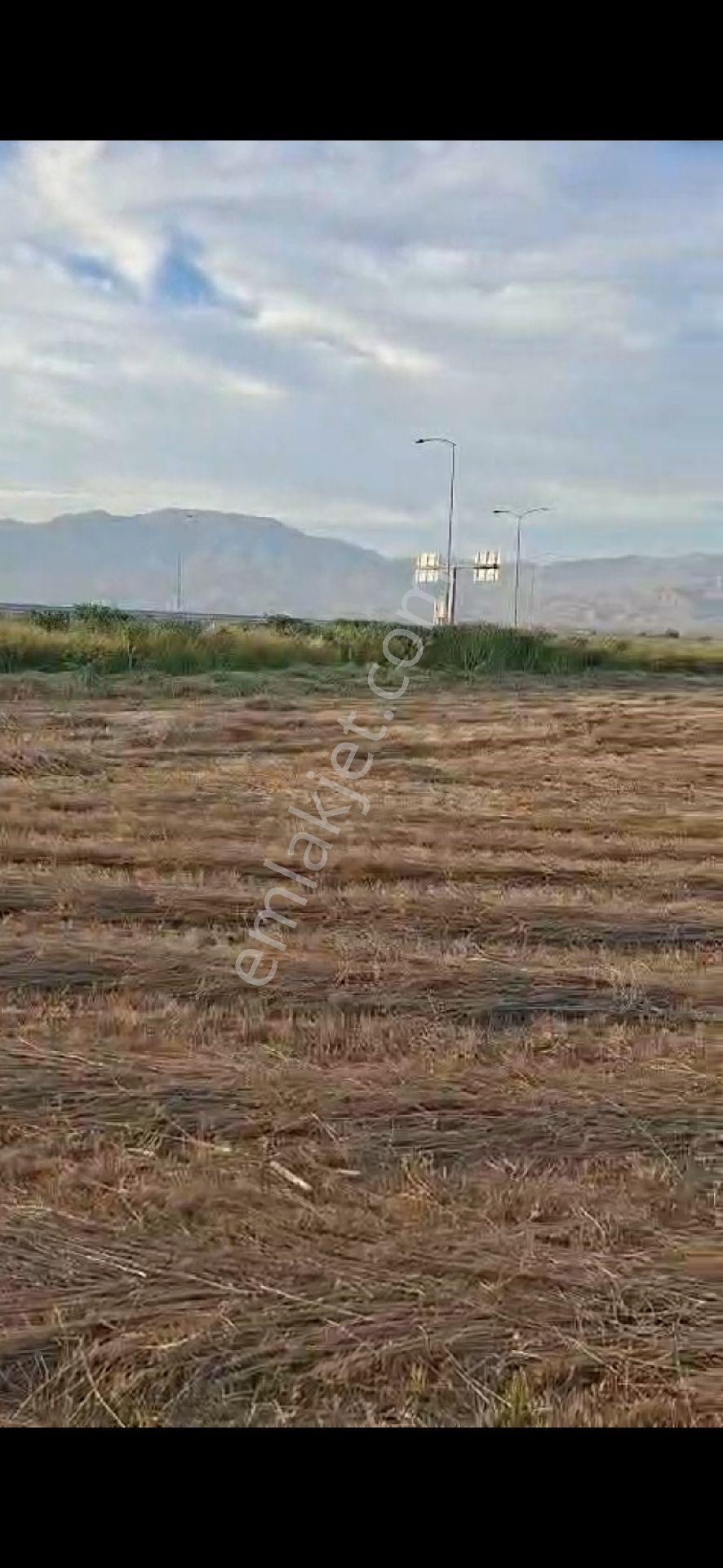 Aydın Nazilli Yöntem Emlak Yenipazar Hükümet Mah.de Otoban Çıkışı İlçe Merkezine 3 Km Satılık Tarla - Görsel 6