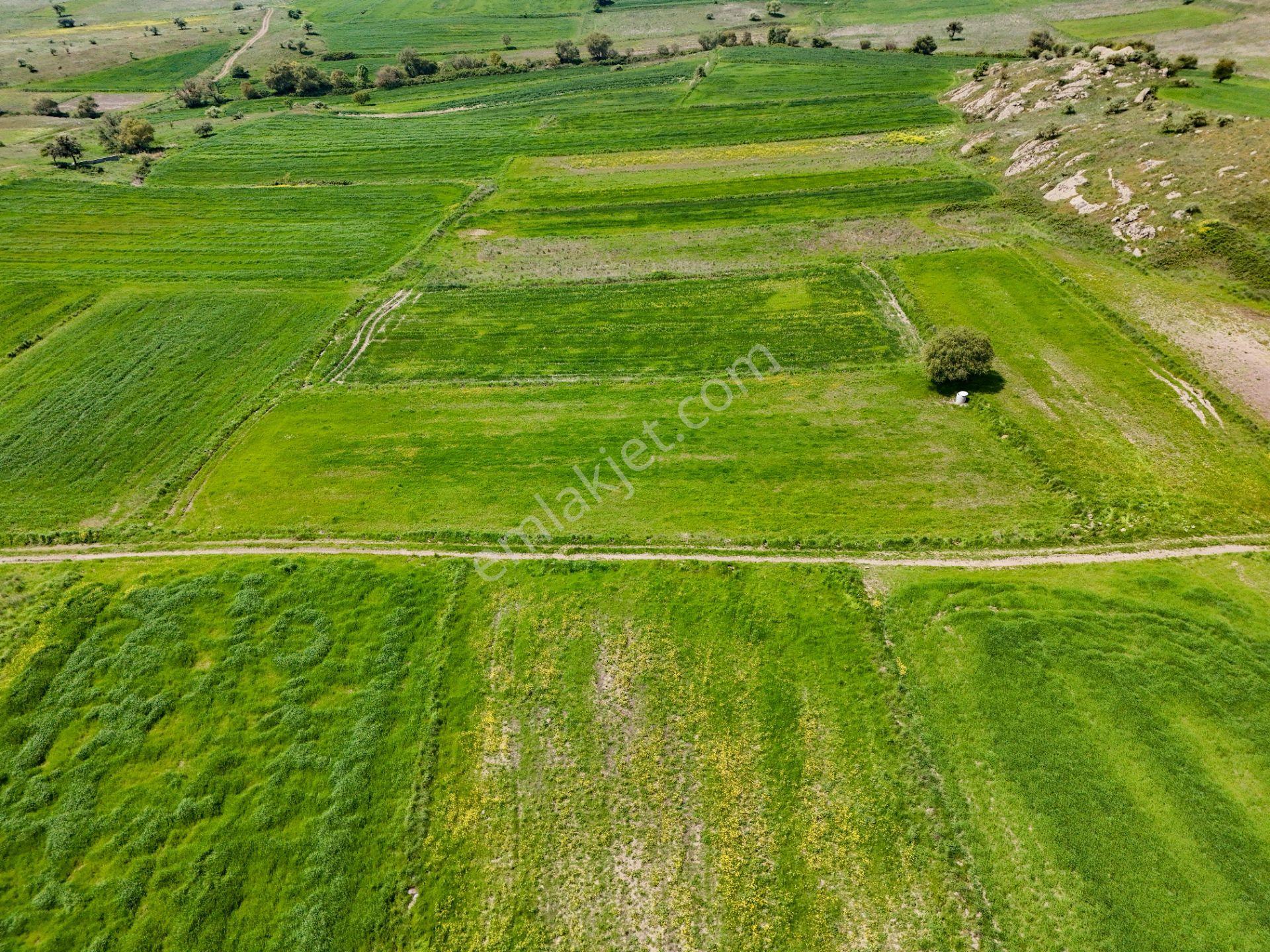 Era Söz Den Balıkesir Karesi Karakol Satılık 2595 M² Tarla - Görsel 4