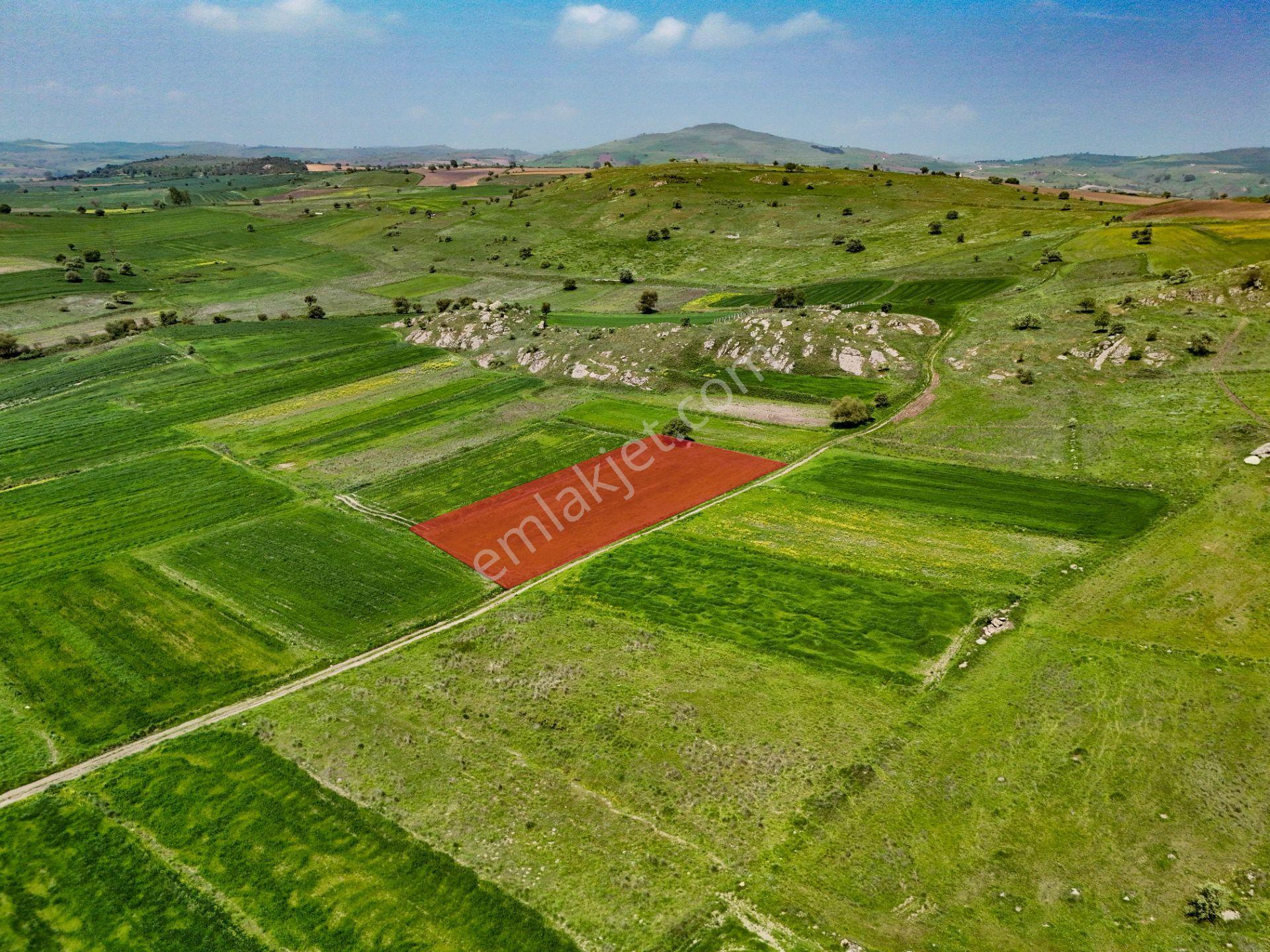 Era Söz Den Balıkesir Karesi Karakol Satılık 2595 M² Tarla - Görsel 2
