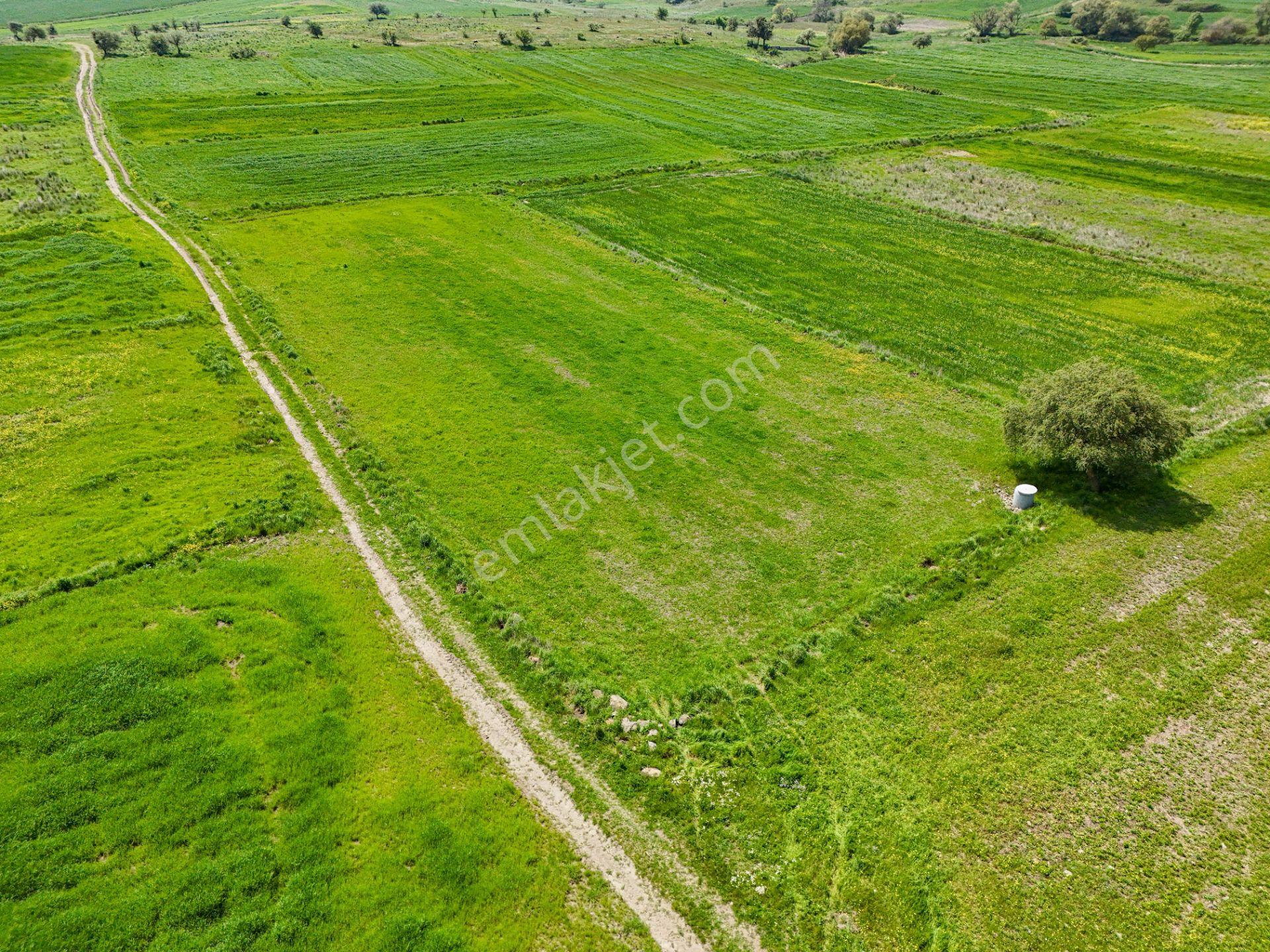 Era Söz Den Balıkesir Karesi Karakol Satılık 2595 M² Tarla - Görsel 6