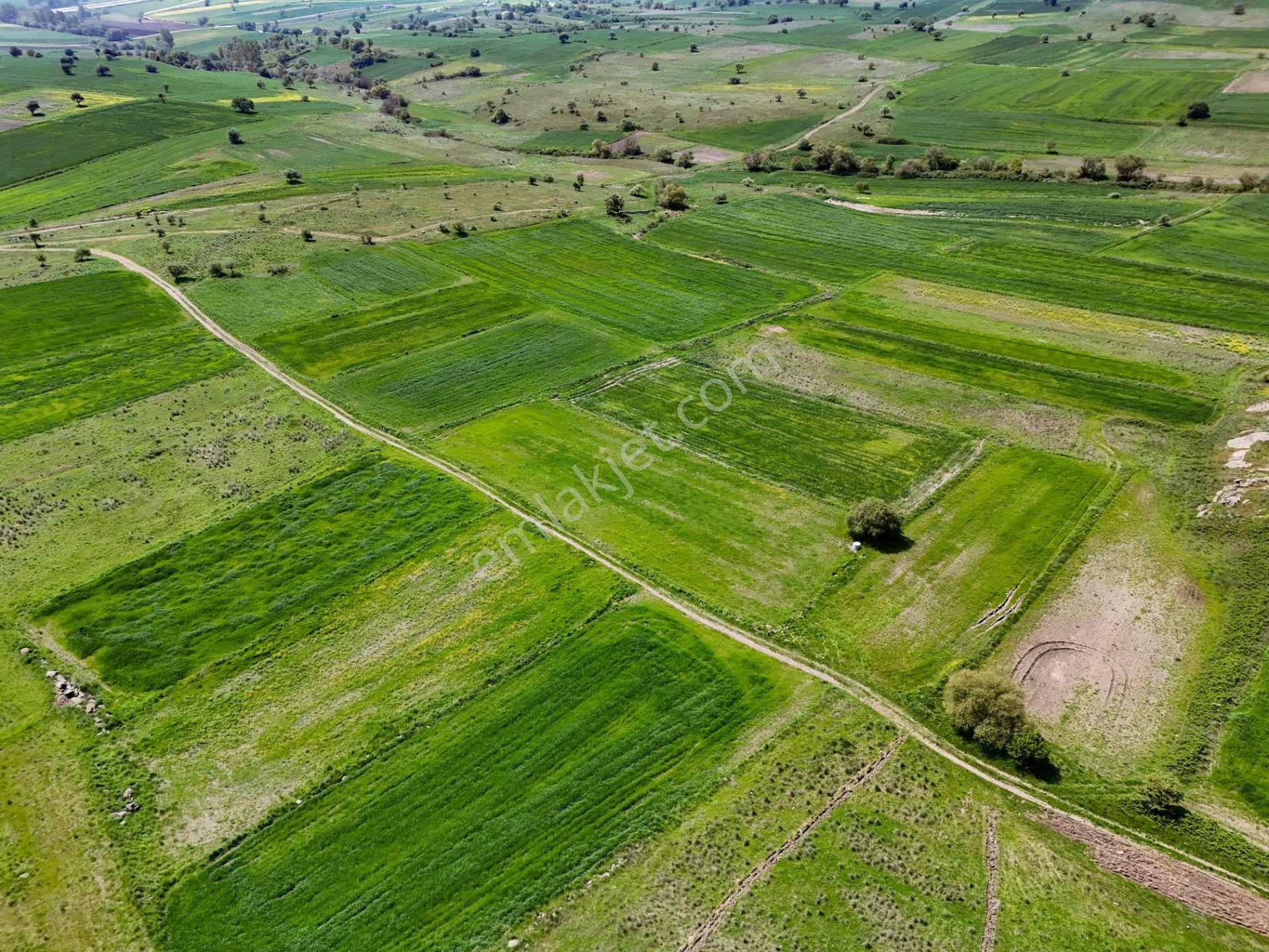 Era Söz Den Balıkesir Karesi Karakol Satılık 2595 M² Tarla - Görsel 3