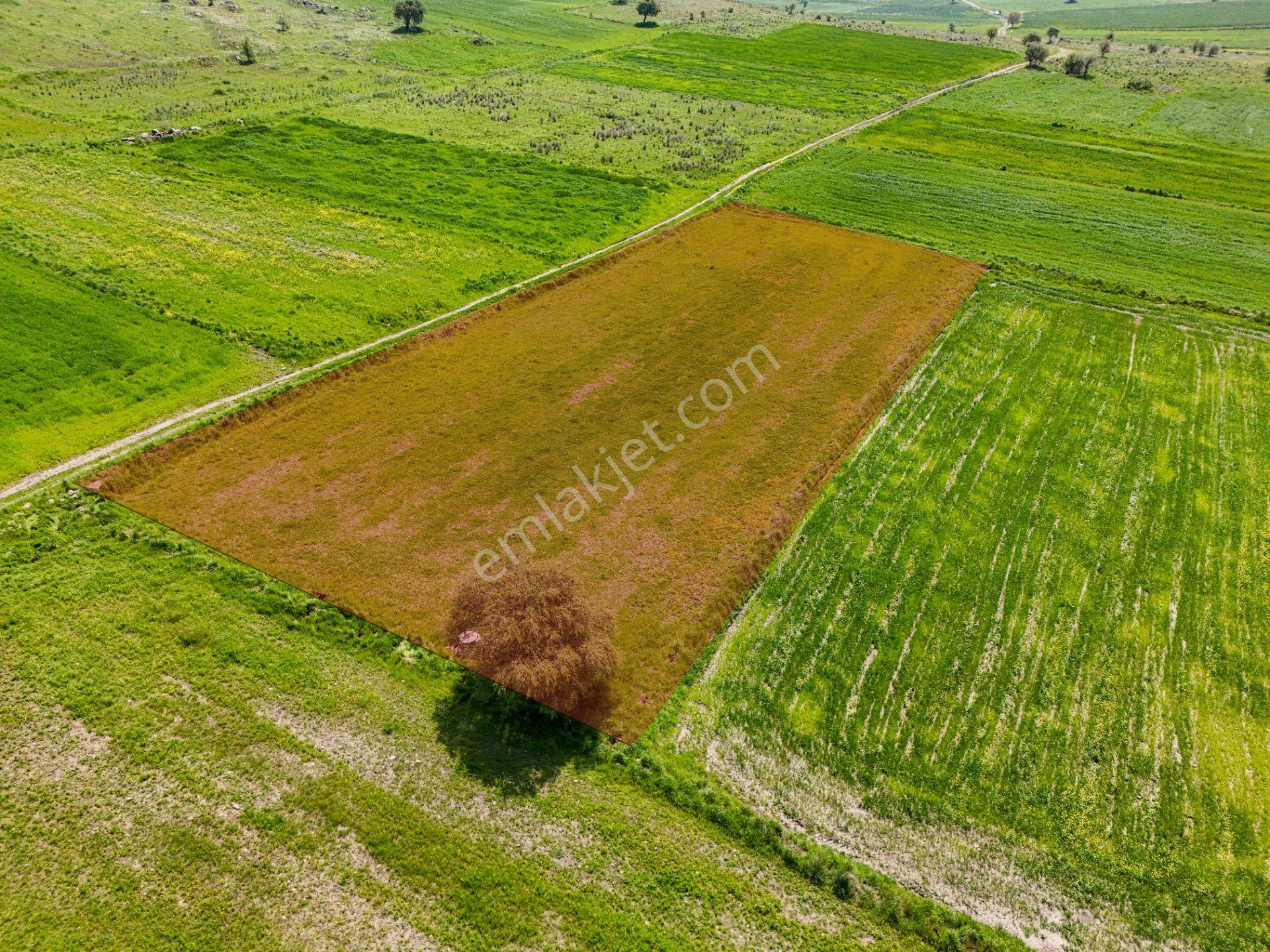 Era Söz Den Balıkesir Karesi Karakol Satılık 2595 M² Tarla - Görsel 8