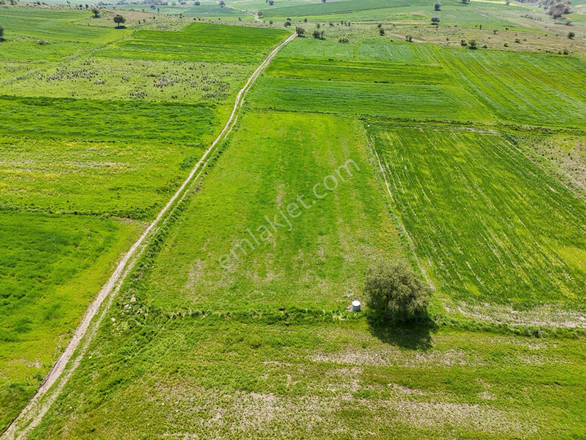 Era Söz Den Balıkesir Karesi Karakol Satılık 2595 M² Tarla - Görsel 7