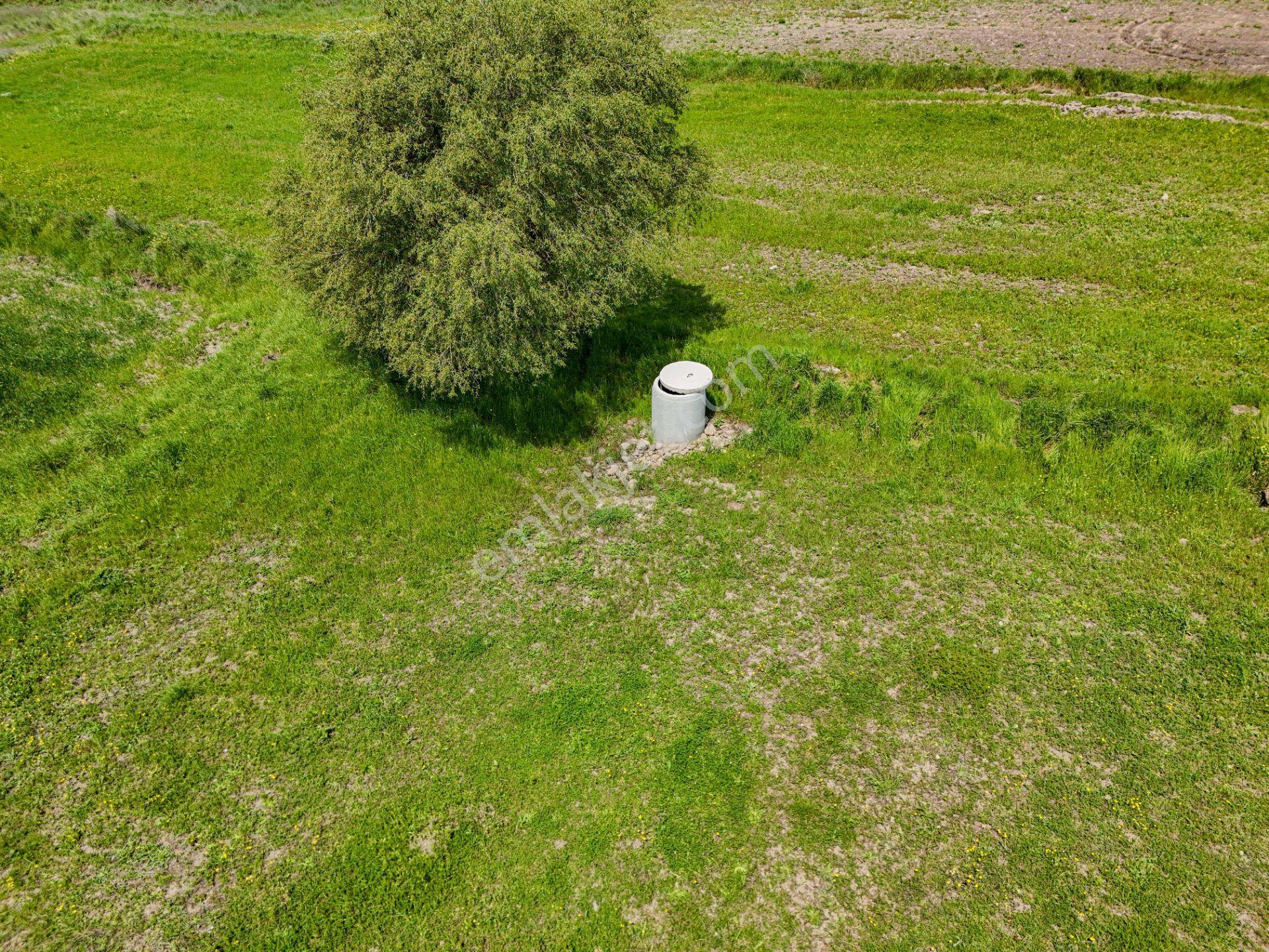Era Söz Den Balıkesir Karesi Karakol Satılık 2595 M² Tarla - Görsel 5