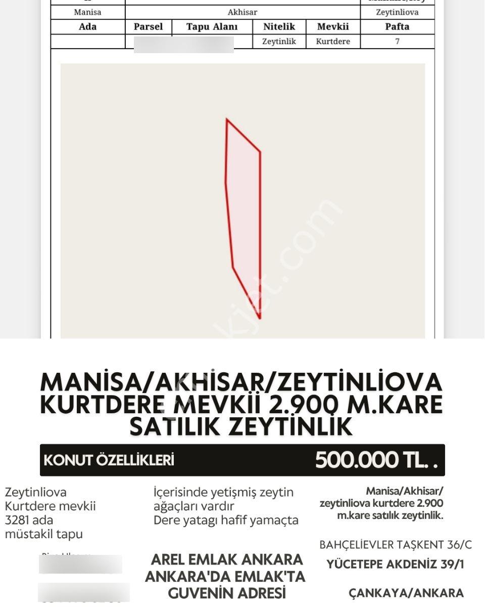 Arel'den Zeytinliova'da Kurtedere Mevkii 2900 M2 Zeytinlik