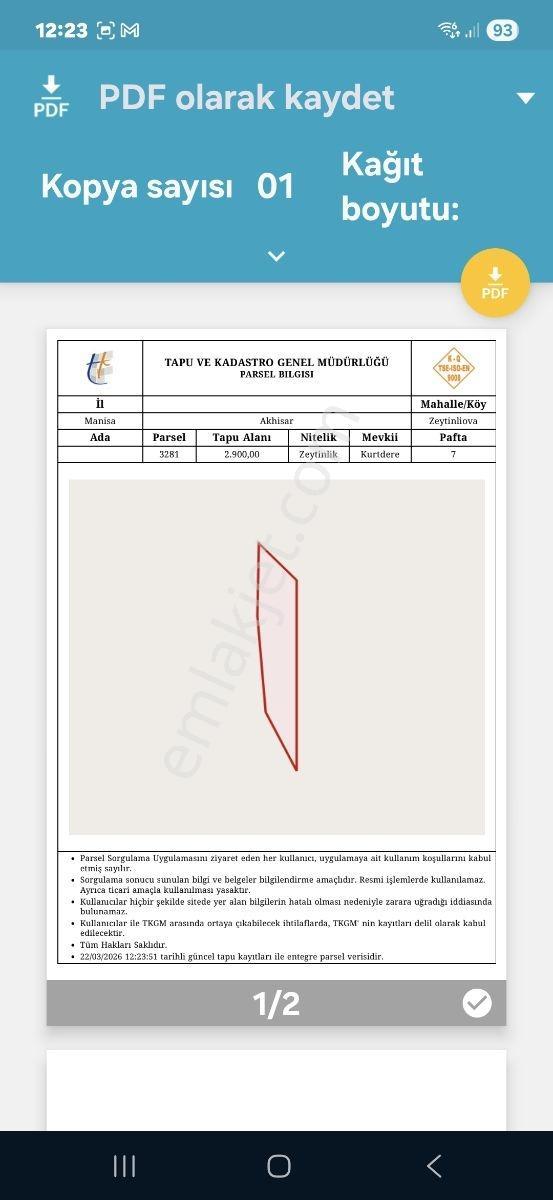 Arel'den Zeytinliova'da Kurtedere Mevkii 2900 M2 Zeytinlik - Görsel 7