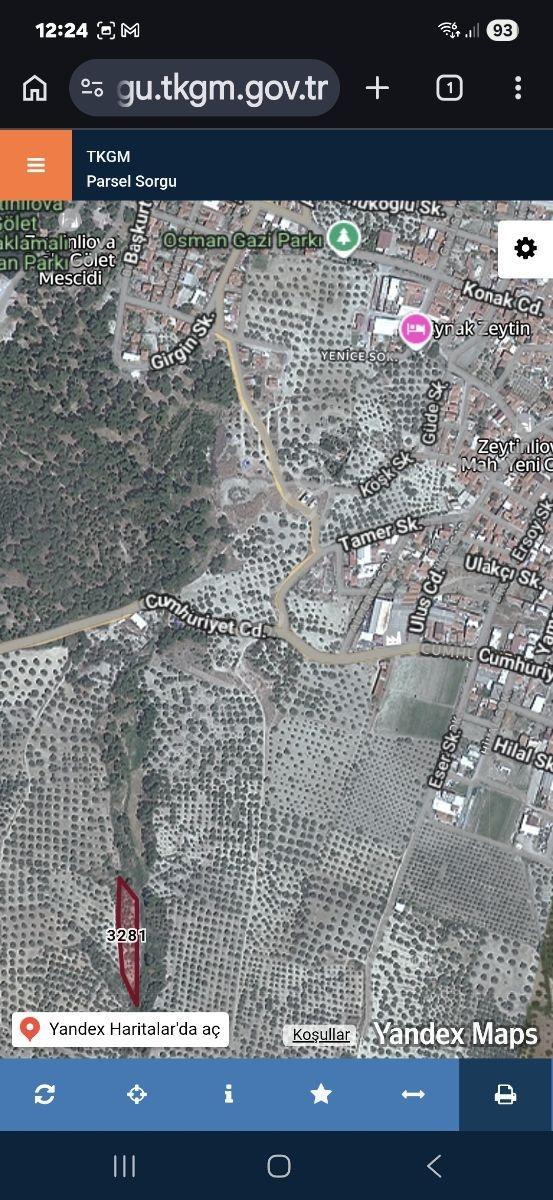 Arel'den Zeytinliova'da Kurtedere Mevkii 2900 M2 Zeytinlik - Görsel 6