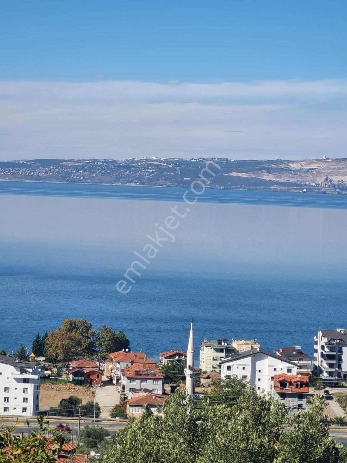 Tepeköy Mevkiinde Panoramik Deniz Manzaralı Zeytinlik 1733m² - Görsel 6