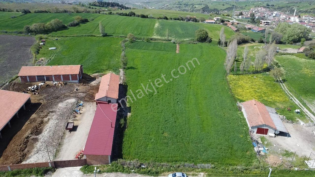 Lapseki Şahinli Köyünde 4100 M2 Satılık Tarla Han Emlak'tan - Görsel 14