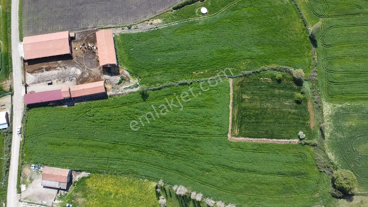 Lapseki Şahinli Köyünde 4100 M2 Satılık Tarla Han Emlak'tan - Görsel 30