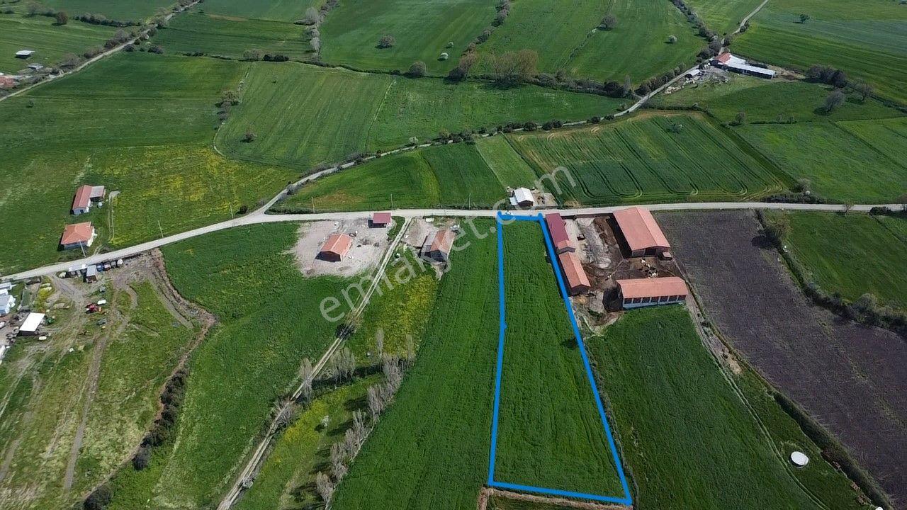 Lapseki Şahinli Köyünde 4100 M2 Satılık Tarla Han Emlak'tan - Görsel 3