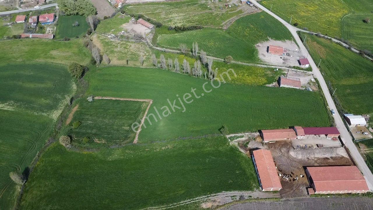 Lapseki Şahinli Köyünde 4100 M2 Satılık Tarla Han Emlak'tan - Görsel 28