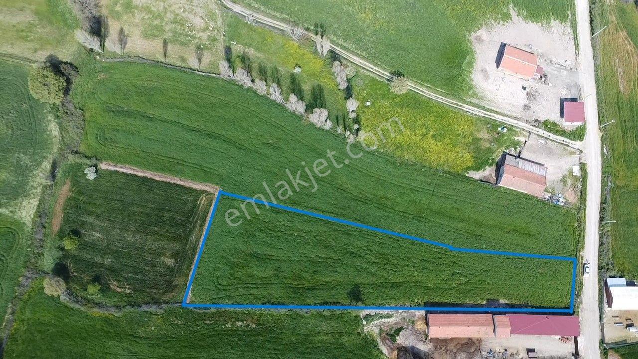 Lapseki Şahinli Köyünde 4100 M2 Satılık Tarla Han Emlak'tan - Görsel 5