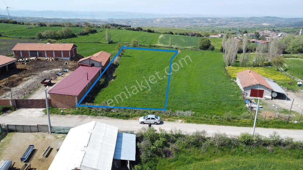 Lapseki Şahinli Köyünde 4100 M2 Satılık Tarla Han Emlak'tan - Görsel 35