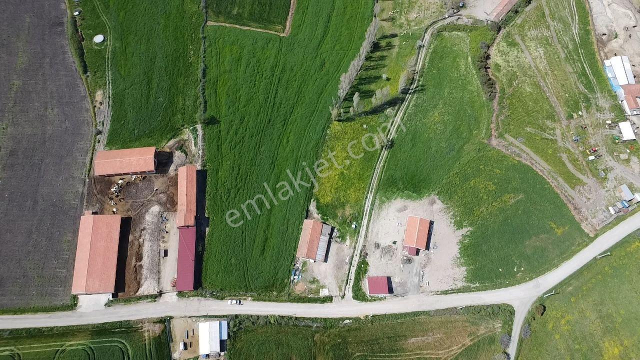 Lapseki Şahinli Köyünde 4100 M2 Satılık Tarla Han Emlak'tan - Görsel 33