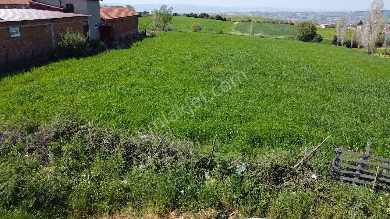 Lapseki Şahinli Köyünde 4100 M2 Satılık Tarla Han Emlak'tan - Görsel 34
