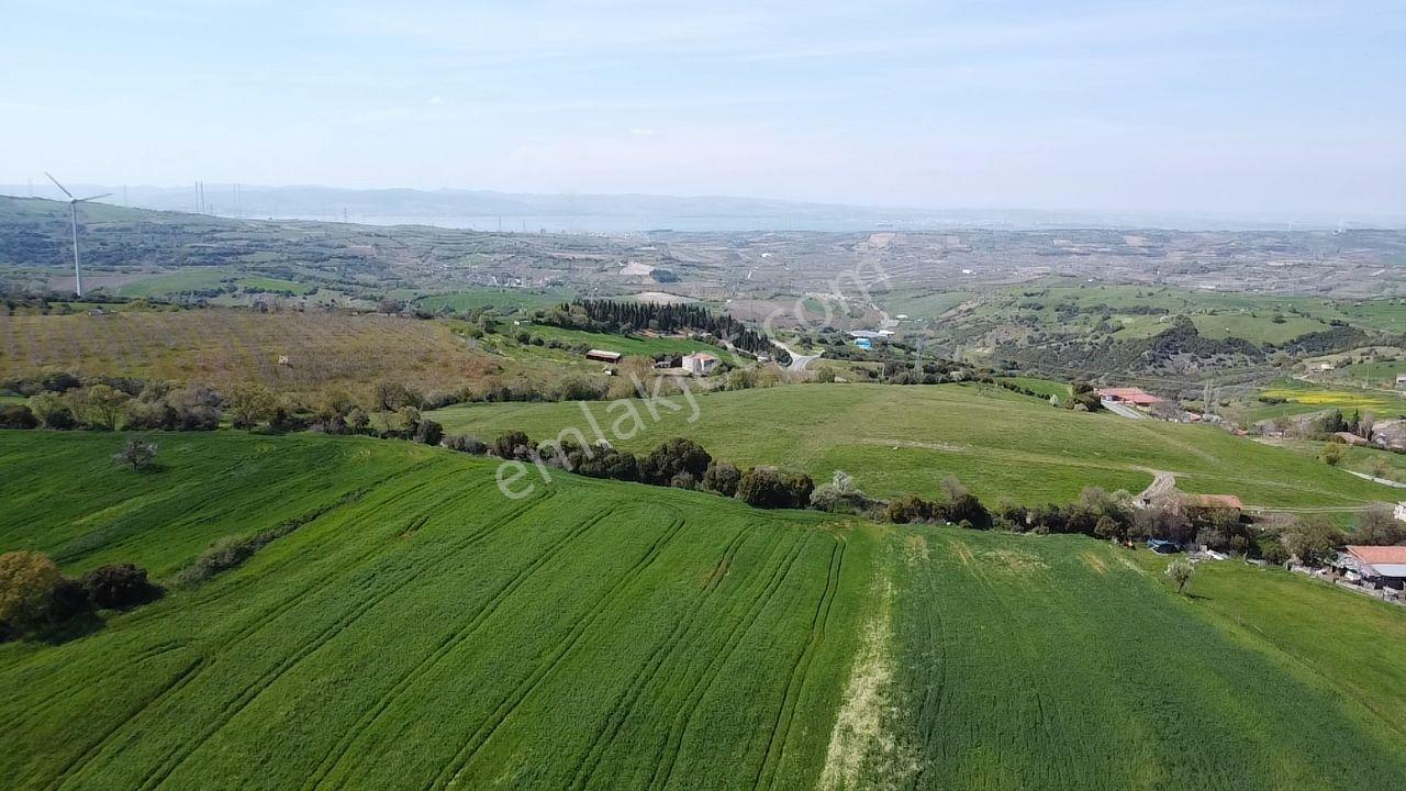 Lapseki Şahinli Köyünde 4100 M2 Satılık Tarla Han Emlak'tan - Görsel 17