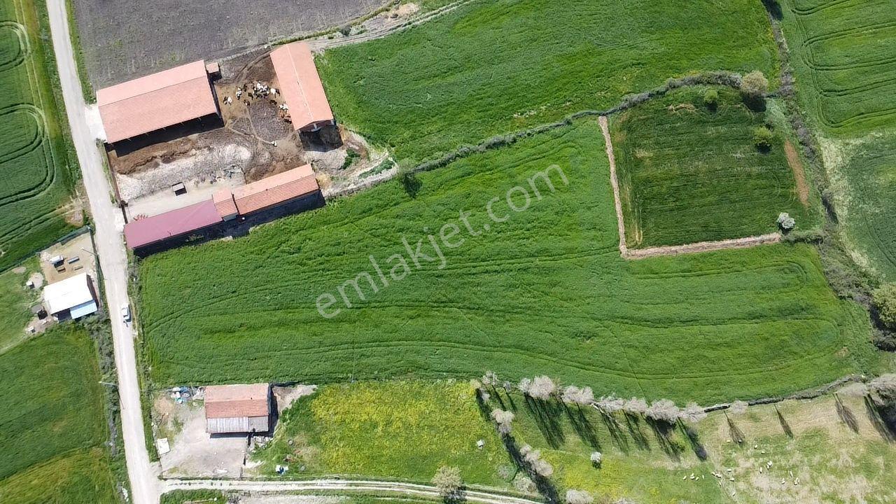 Lapseki Şahinli Köyünde 4100 M2 Satılık Tarla Han Emlak'tan - Görsel 32