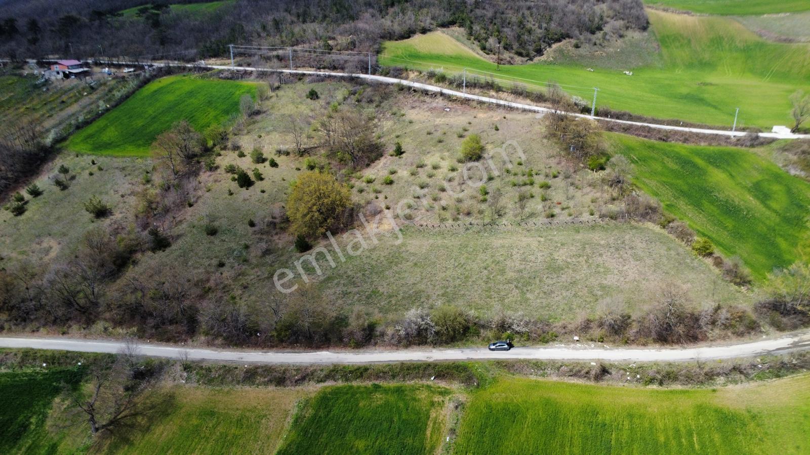 Atakum Akalan Da Yola Cephe Satılık 7148 Mt Tarla - Görsel 4