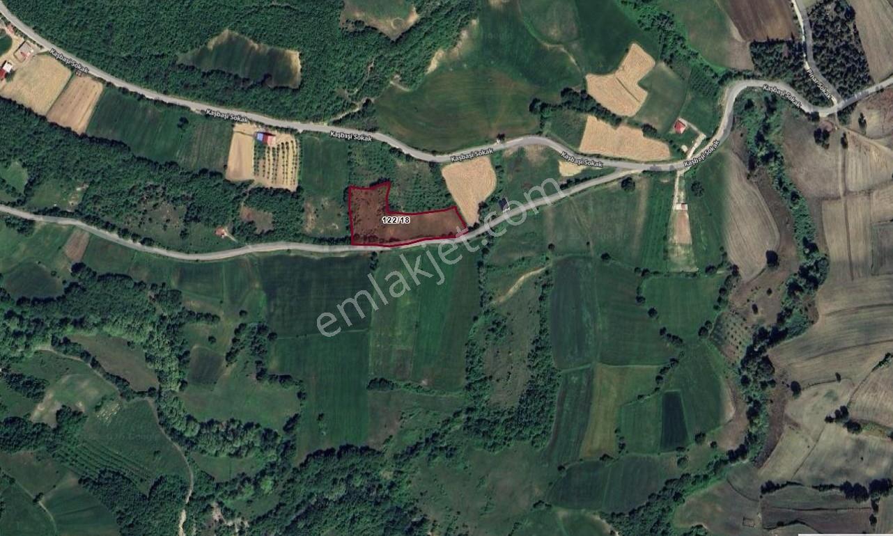 Atakum Akalan Da Yola Cephe Satılık 7148 Mt Tarla - Görsel 3