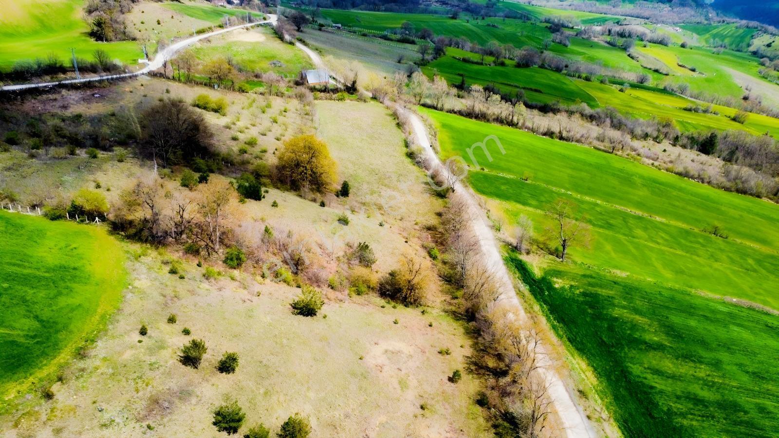Atakum Akalan Da Yola Cephe Satılık 7148 Mt Tarla - Görsel 5