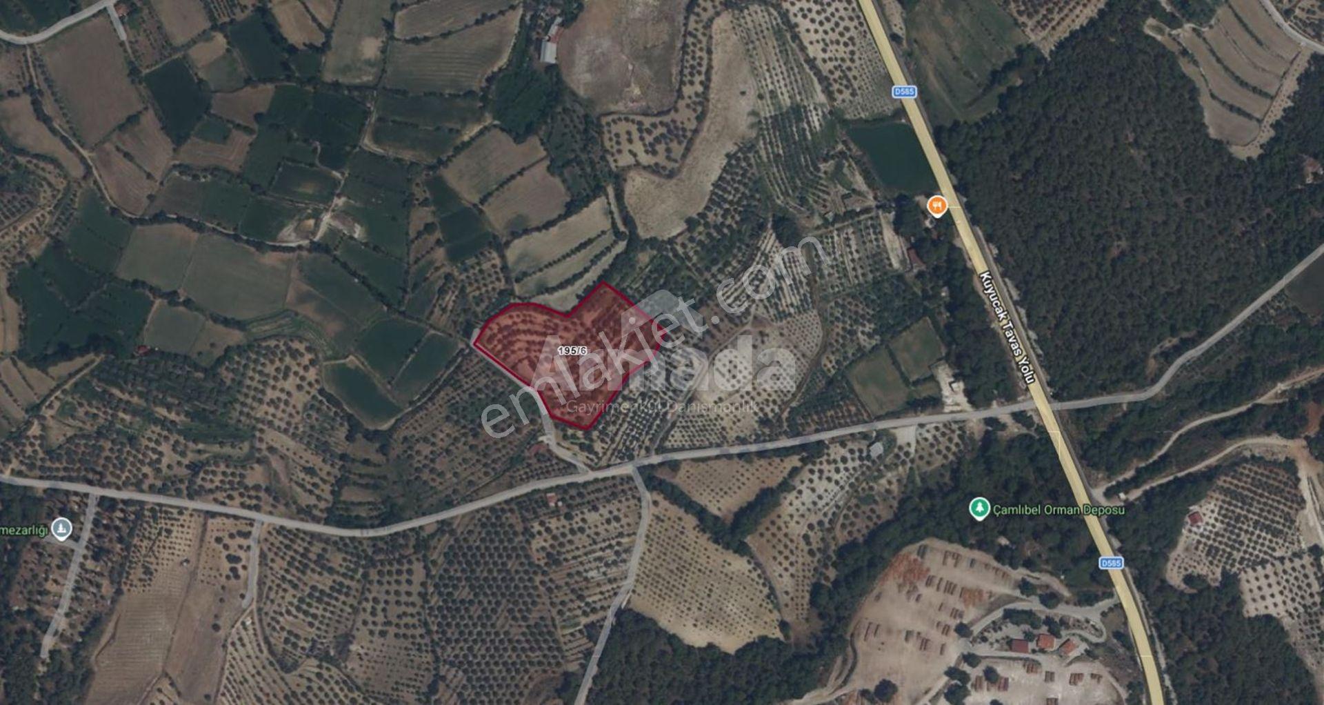 Aydın Karacasu'da Yatırımlık Arazi - Görsel 12