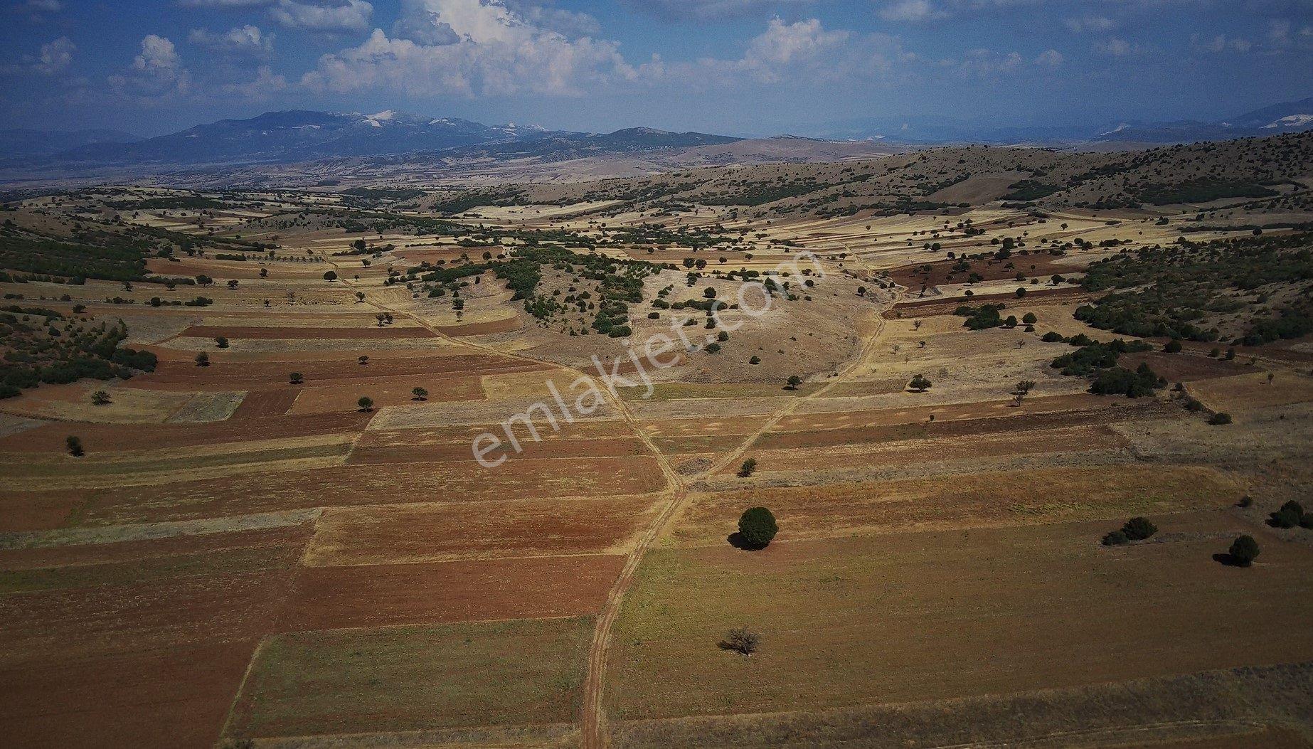 Salda Gölüne Komşu 1738m2 Tarla Bu Fiyata Kelepir Bedava Kaçmaz - Görsel 18