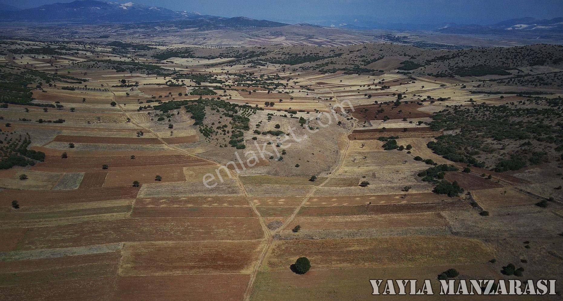 Salda Gölüne Komşu 1738m2 Tarla Bu Fiyata Kelepir Bedava Kaçmaz - Görsel 17