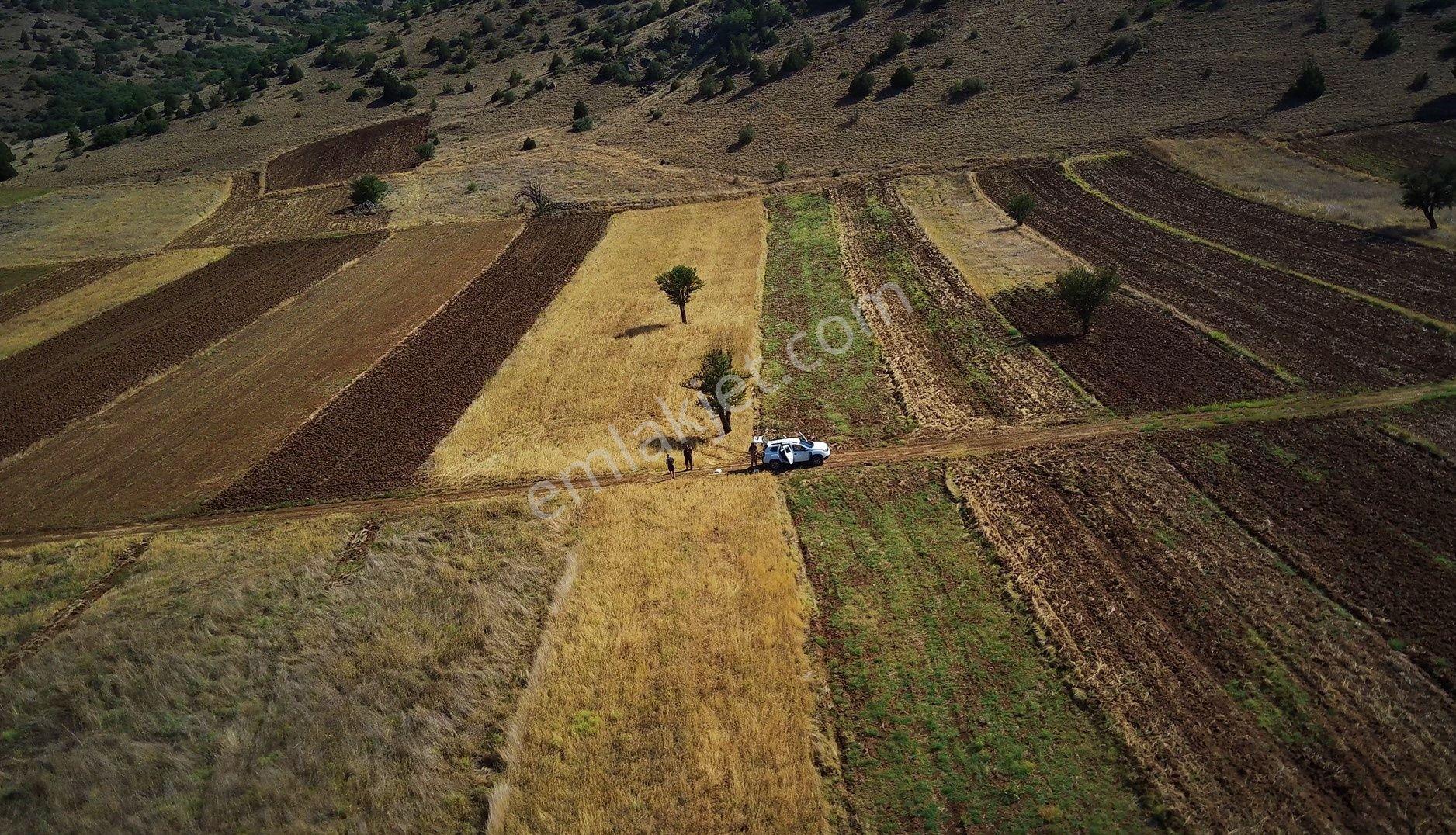 Salda Gölüne Komşu 1738m2 Tarla Bu Fiyata Kelepir Bedava Kaçmaz - Görsel 8