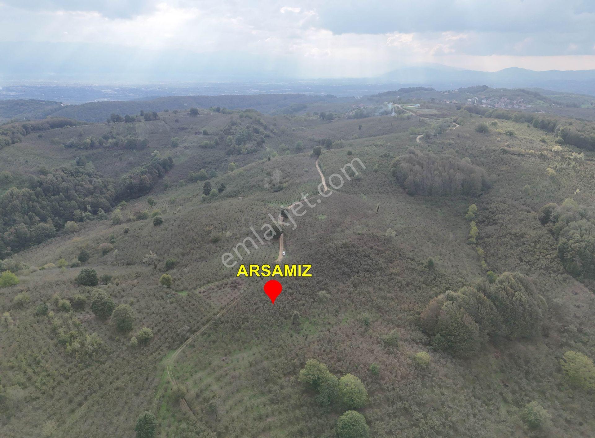 Güldere Köyü’nde 5.778 M² Satılık Fındık Bahçesi - Görsel 15