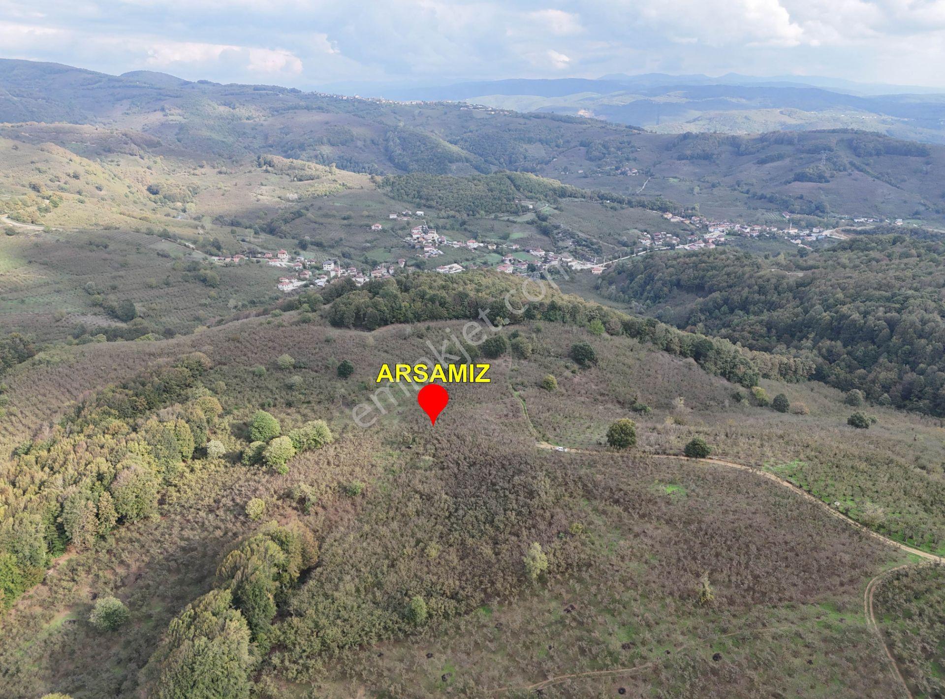 Güldere Köyü’nde 5.778 M² Satılık Fındık Bahçesi - Görsel 35