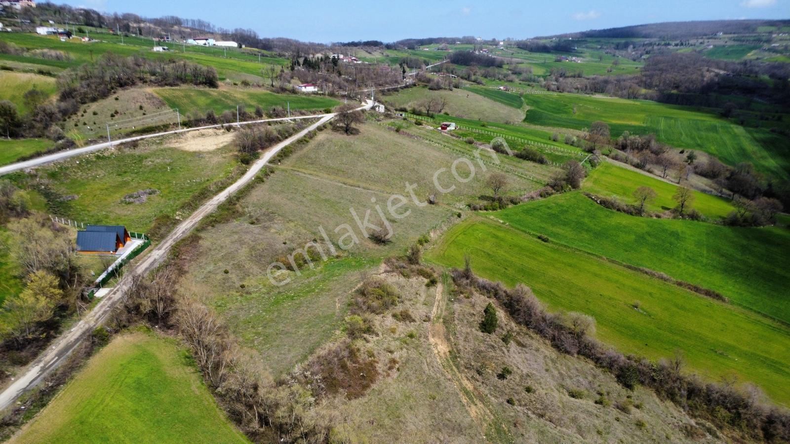 Atakum Akalan Da Yola Cephe Satılık 16 574 Mt Tarla - Görsel 4