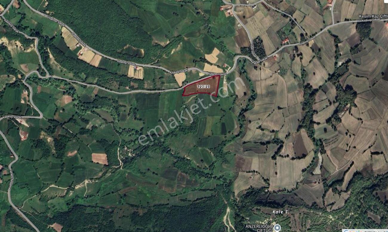 Atakum Akalan Da Yola Cephe Satılık 16 574 Mt Tarla - Görsel 2