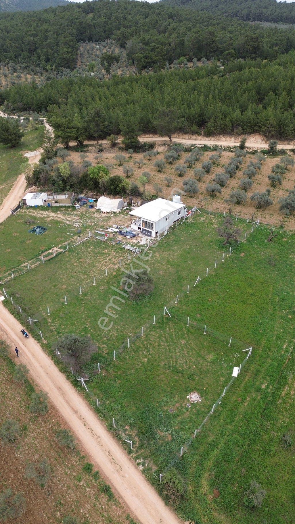 850 M2 Bahçe - Görsel 8