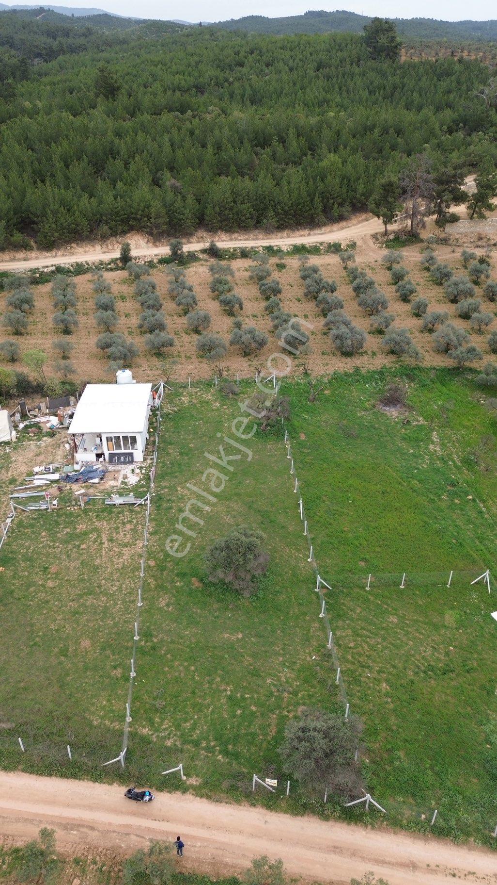 850 M2 Bahçe - Görsel 9