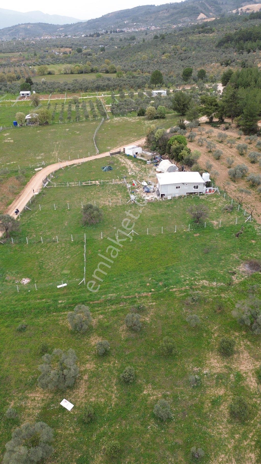 850 M2 Bahçe - Görsel 6