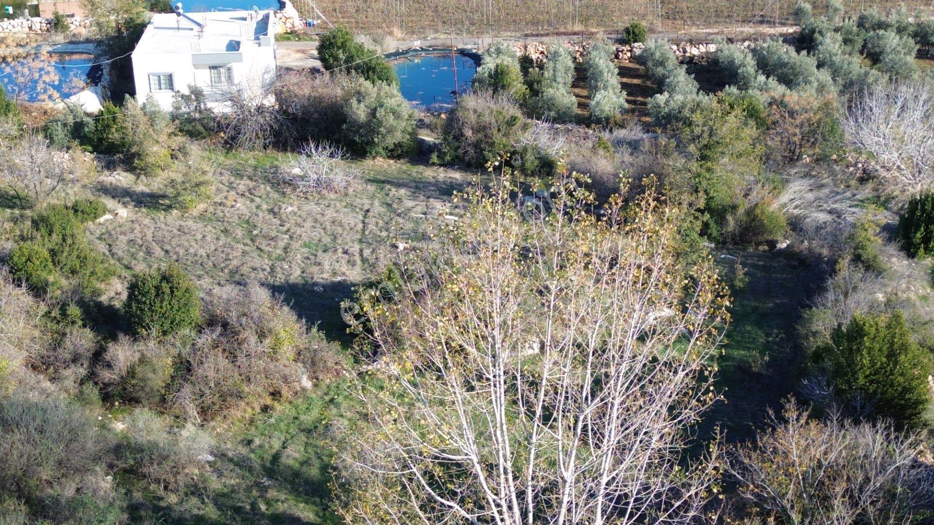 Erdemli Karaahmetli 728 M2 Denize 10 Dk Mesafede Satılık Arsa - Görsel 6