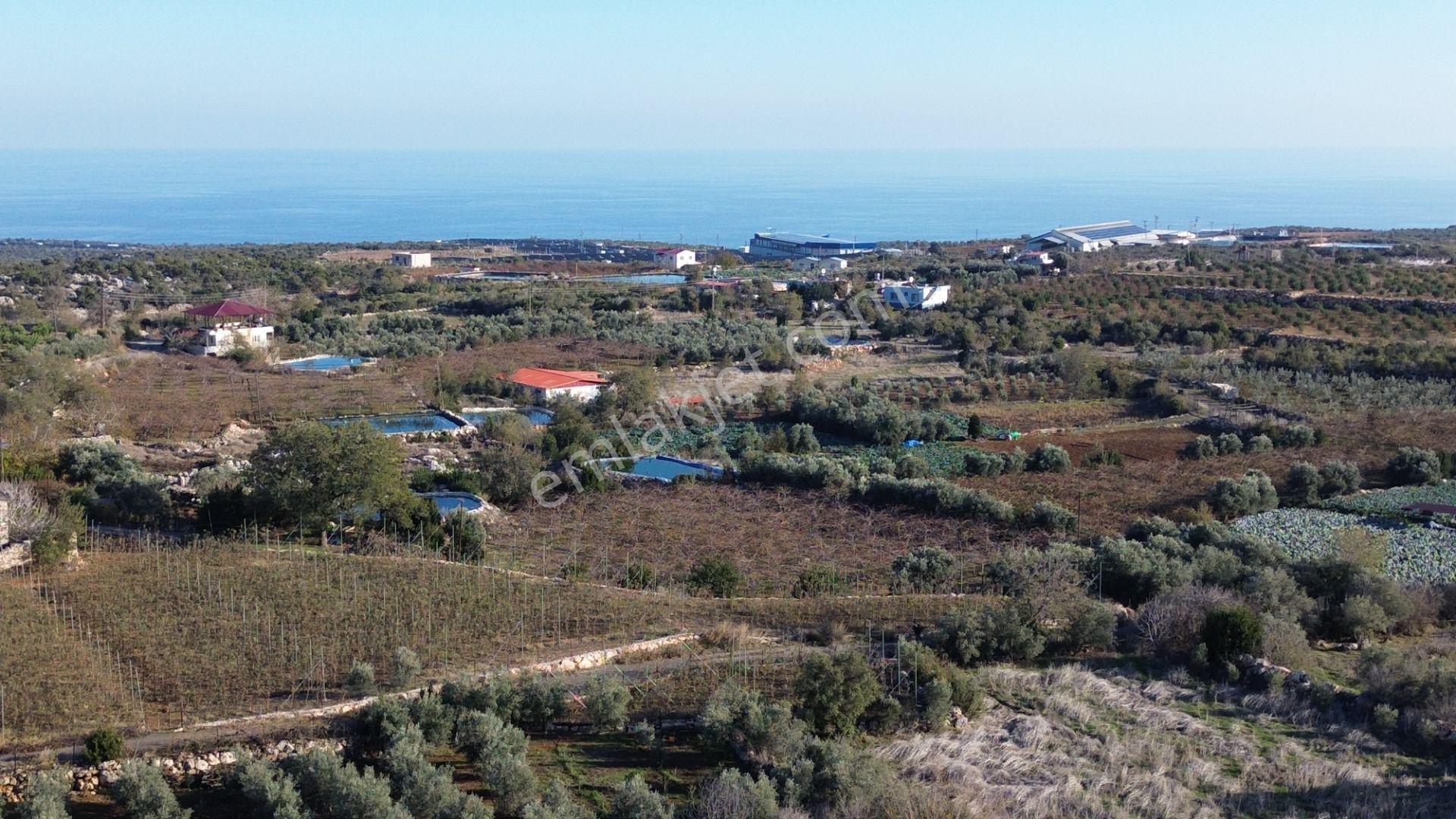 Erdemli Karaahmetli 728 M2 Denize 10 Dk Mesafede Satılık Arsa - Görsel 11