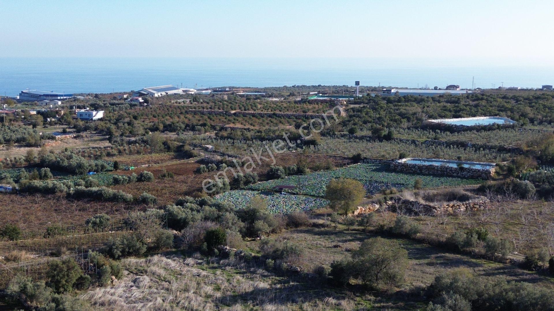 Erdemli Karaahmetli 728 M2 Denize 10 Dk Mesafede Satılık Arsa - Görsel 9