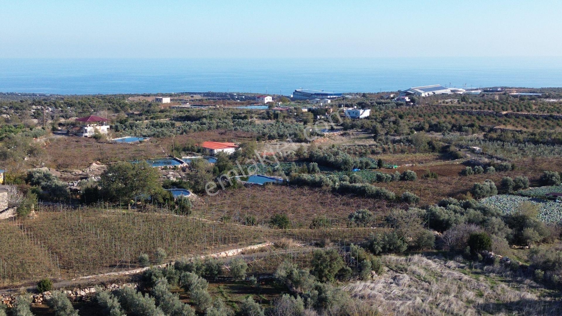 Erdemli Karaahmetli 728 M2 Denize 10 Dk Mesafede Satılık Arsa - Görsel 10