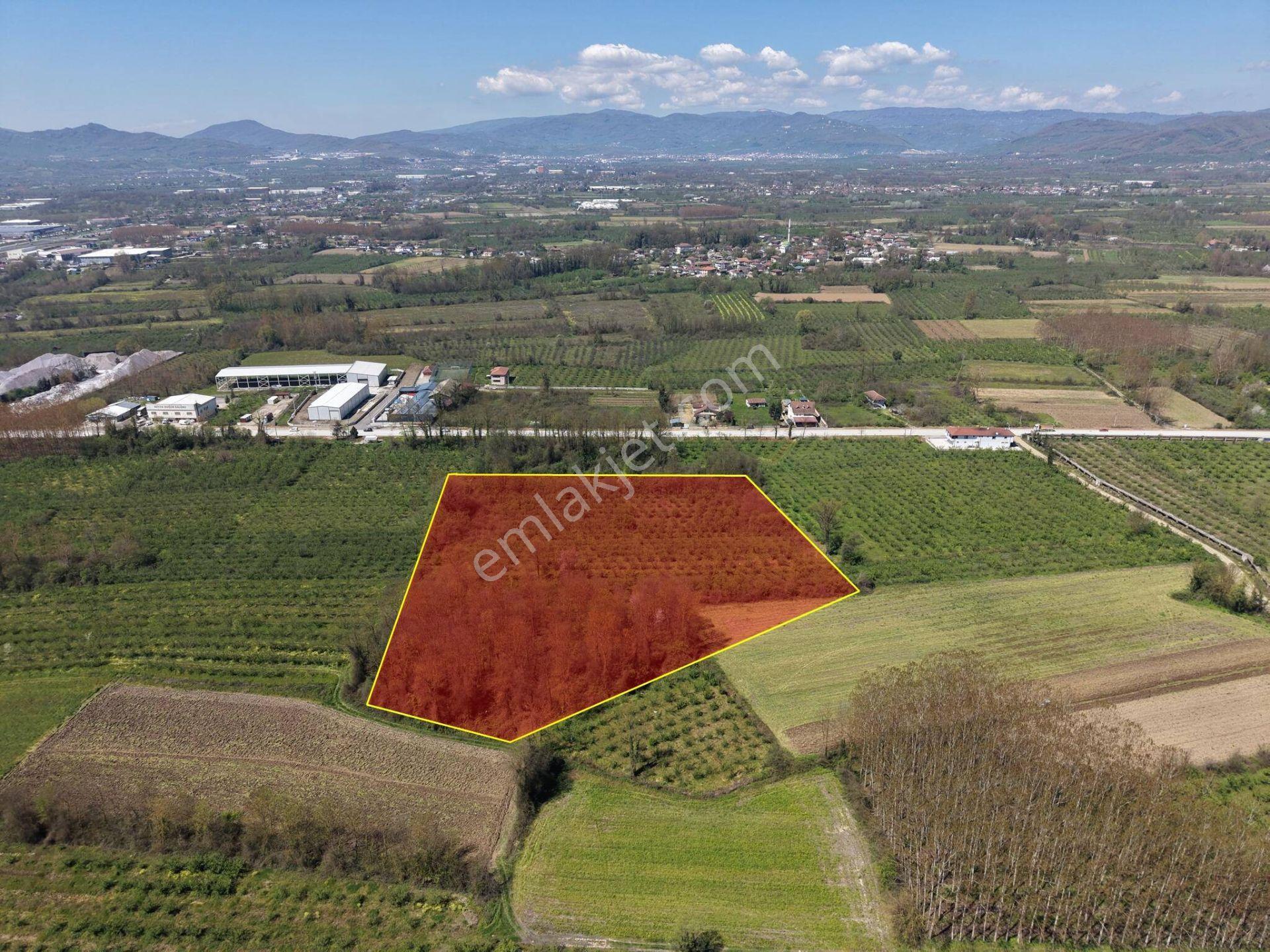 Çilimli Topçular Mahallesi’nde 9.605 M² Satılık Arsa - Görsel 3